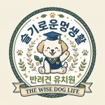 슬기로운 멍생활