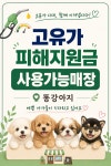 똥강아지 김해강아지분양 고양이분양