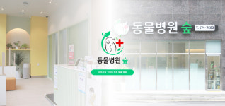 동물병원숲