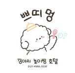 쁘띠멍 강아지 놀이방 호텔