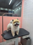 오늘THE이쁘개