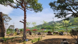 청솔수석박물관