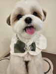 멍그라밍