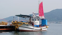 해동호