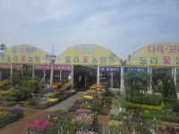 둘리꽃농원