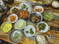 송송시골백반