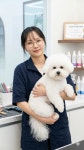 미용의정서애견미용학원 인계동