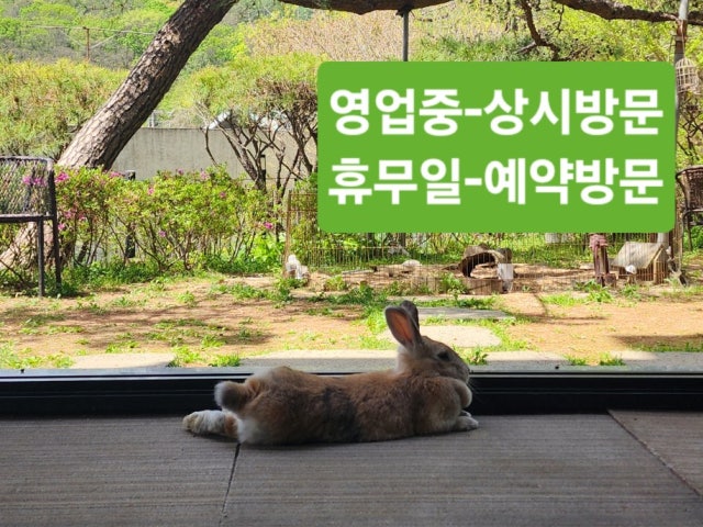 라벤더하우스