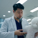 24시 스탠다드 동물의료센터