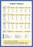 퍼피홀릭