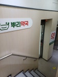 뿌리약국