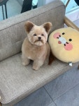 복희쌀롱