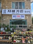 아리라자매가든