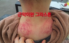 머스트짐 헬스&PT 일산마두역점