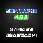리얼스트렝스짐