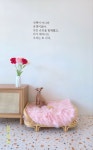 퍼피데이 애견미용실