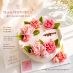 앙금앤케이크