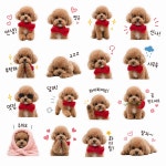 퍼피데이 애견미용실