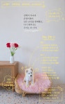 퍼피데이 애견미용실