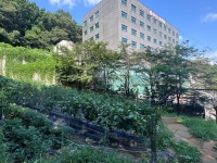 뷰티풀 한방병원