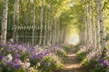 수피아자작나무농원