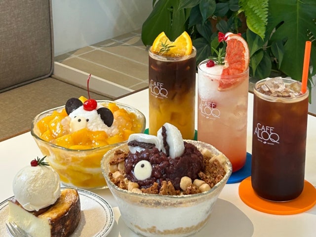 카페알록