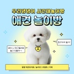 왈왈애견호텔 애견유치원