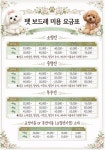 펫 보드레