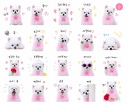 퍼피데이 애견미용실