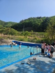 문경수예리오토캠핑장