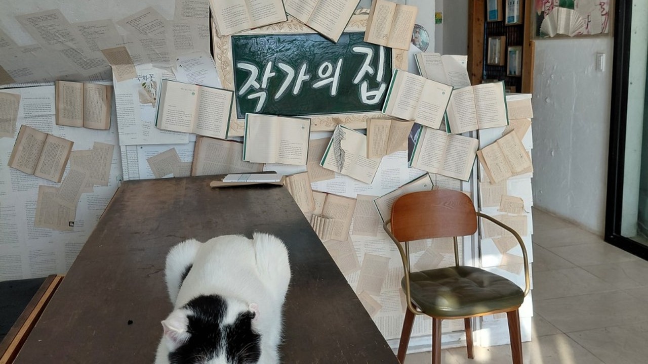 도예가의 차와커피