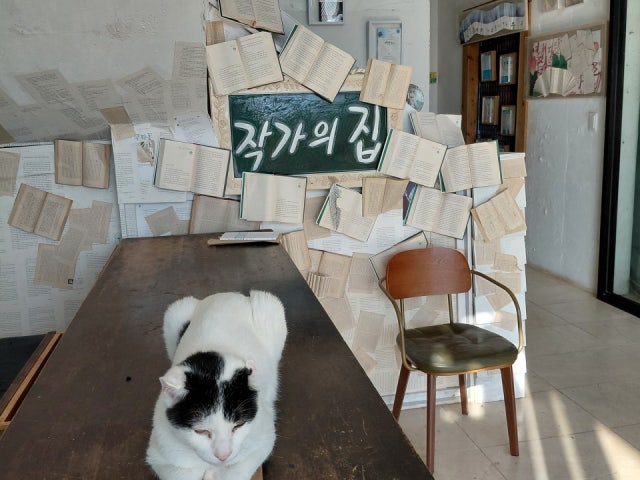 도예가의 차와커피