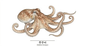격포어촌계회센타B11호