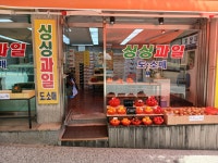 싱싱과일