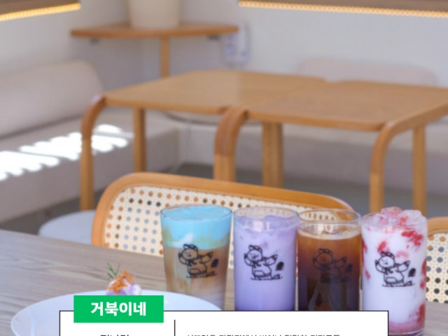 집나간거북이