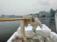 민락어패류시장 용궁상회