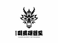 미르태권도
