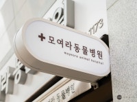 모여라동물병원