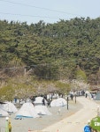 구름포해변캠핑장