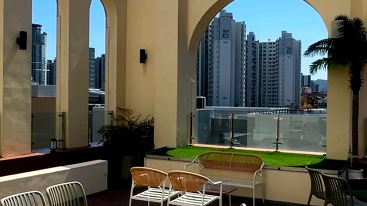 루브제