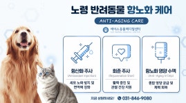 에이스동물병원