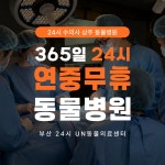 부산 24시 UN동물의료센터