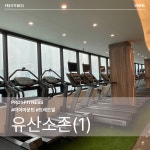 프로원휘트니스 헬스&PT 신월점