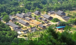 삼성여행사 대구