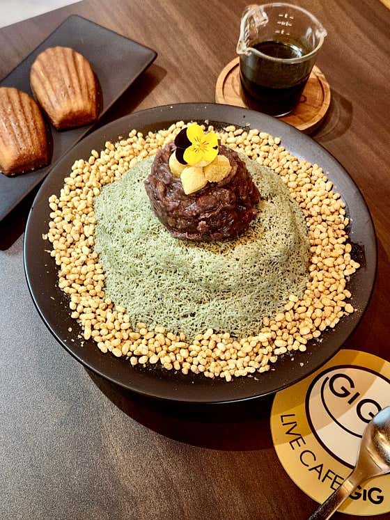 긱 사진