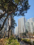푸르지오채움부동산공인중개사사무소