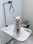 플러플리 FLUFFLY