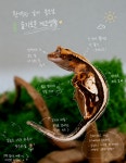 비바리움 파충류샵 게코몽 청주점