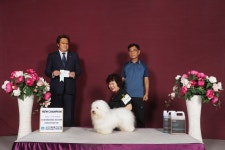 아리랑밸리켄넬