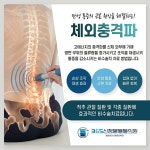 365신정본튼튼의원